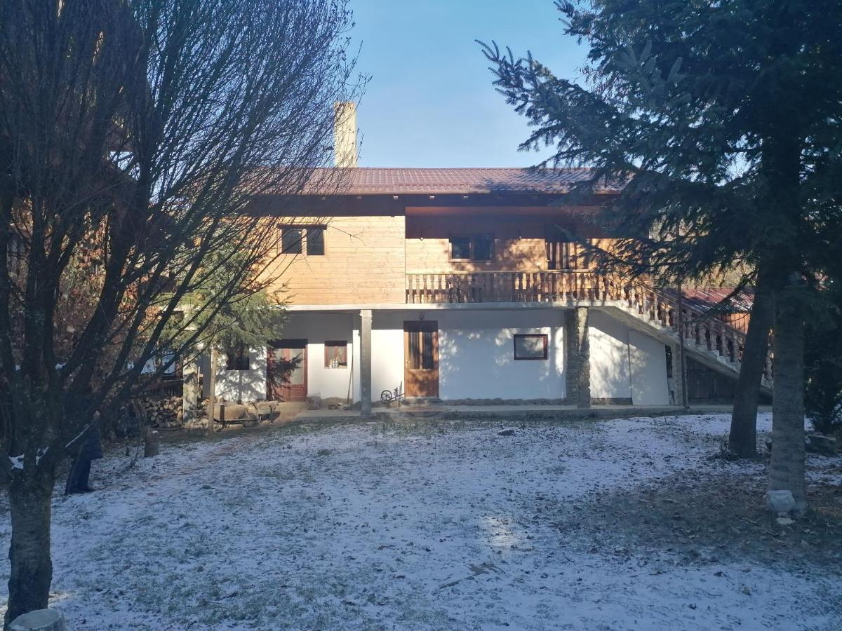 Pensiunea Perla Maramuresului Borşa Exteriör bild