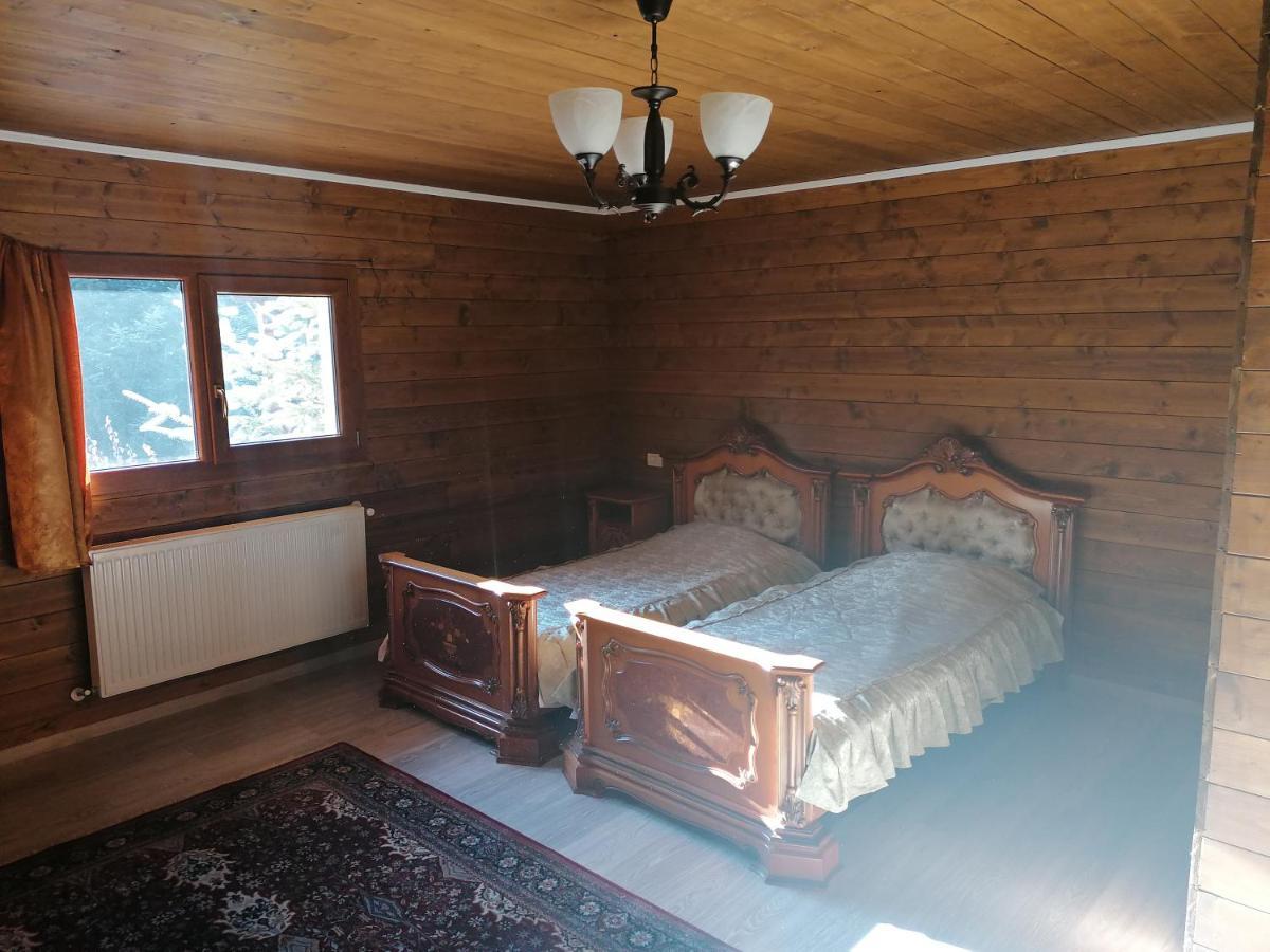 Pensiunea Perla Maramuresului Borşa Exteriör bild