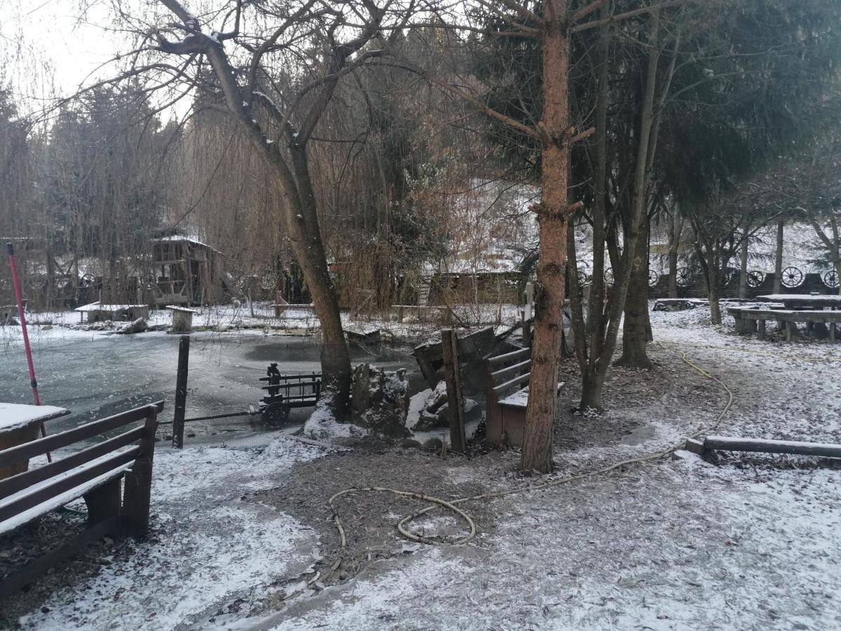 Pensiunea Perla Maramuresului Borşa Exteriör bild