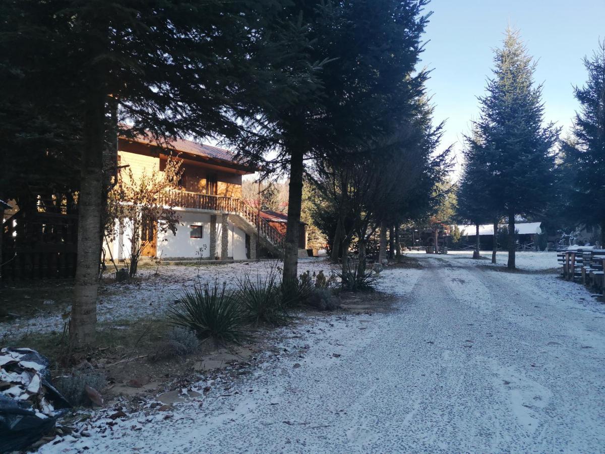 Pensiunea Perla Maramuresului Borşa Exteriör bild