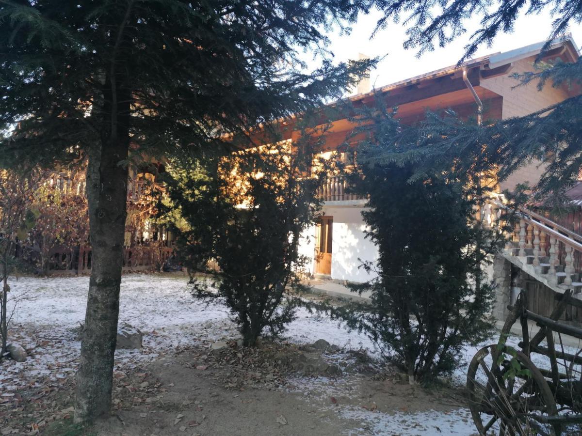 Pensiunea Perla Maramuresului Borşa Exteriör bild