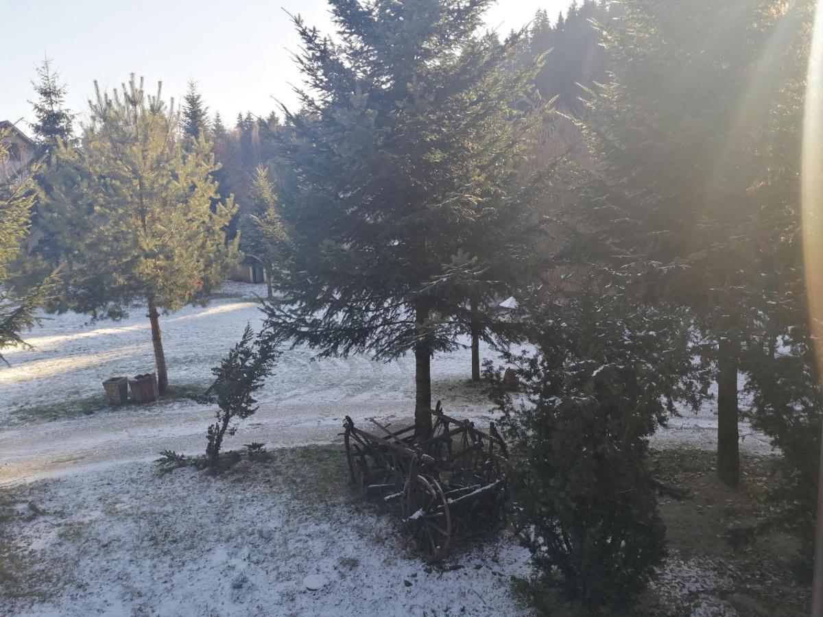 Pensiunea Perla Maramuresului Borşa Exteriör bild