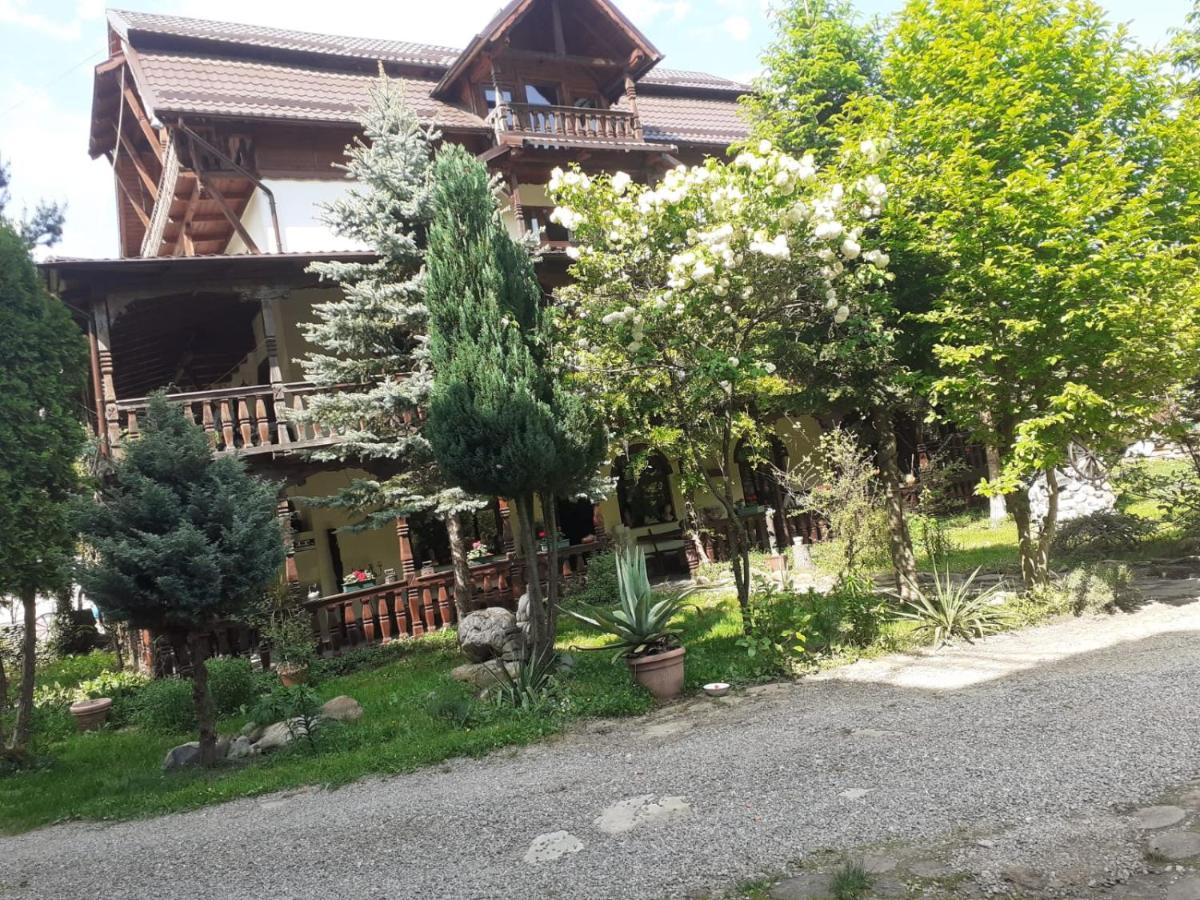 Pensiunea Perla Maramuresului Borşa Exteriör bild