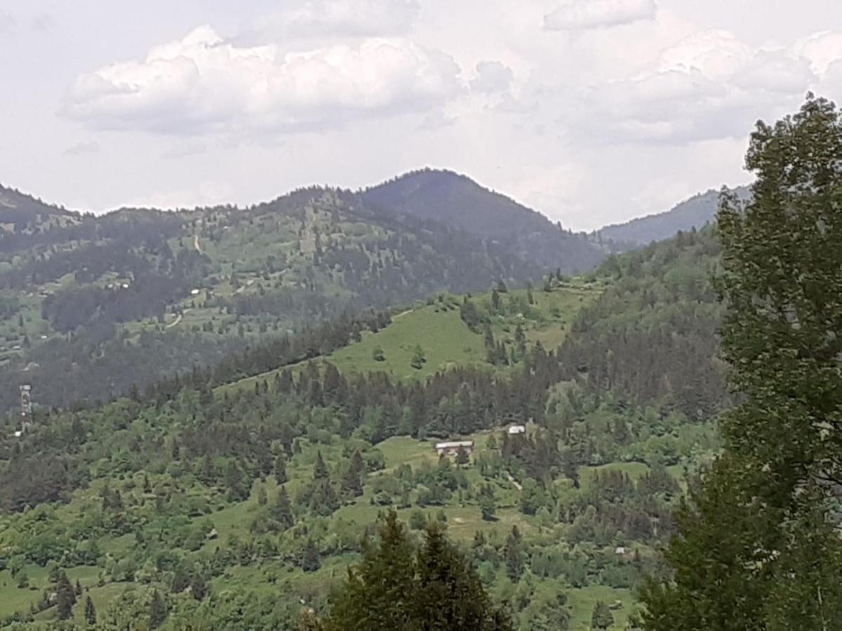 Pensiunea Perla Maramuresului Borşa Exteriör bild
