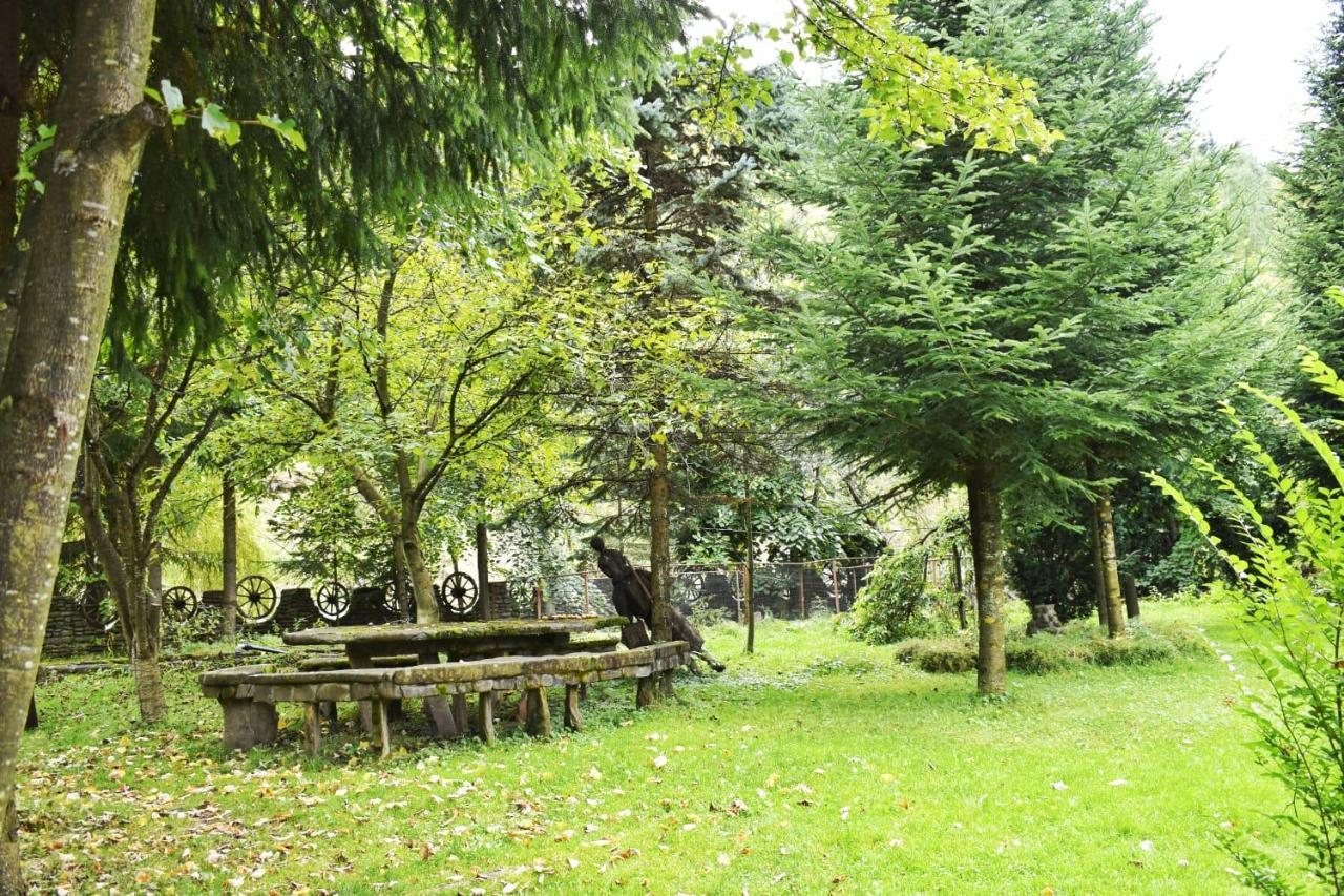 Pensiunea Perla Maramuresului Borşa Exteriör bild