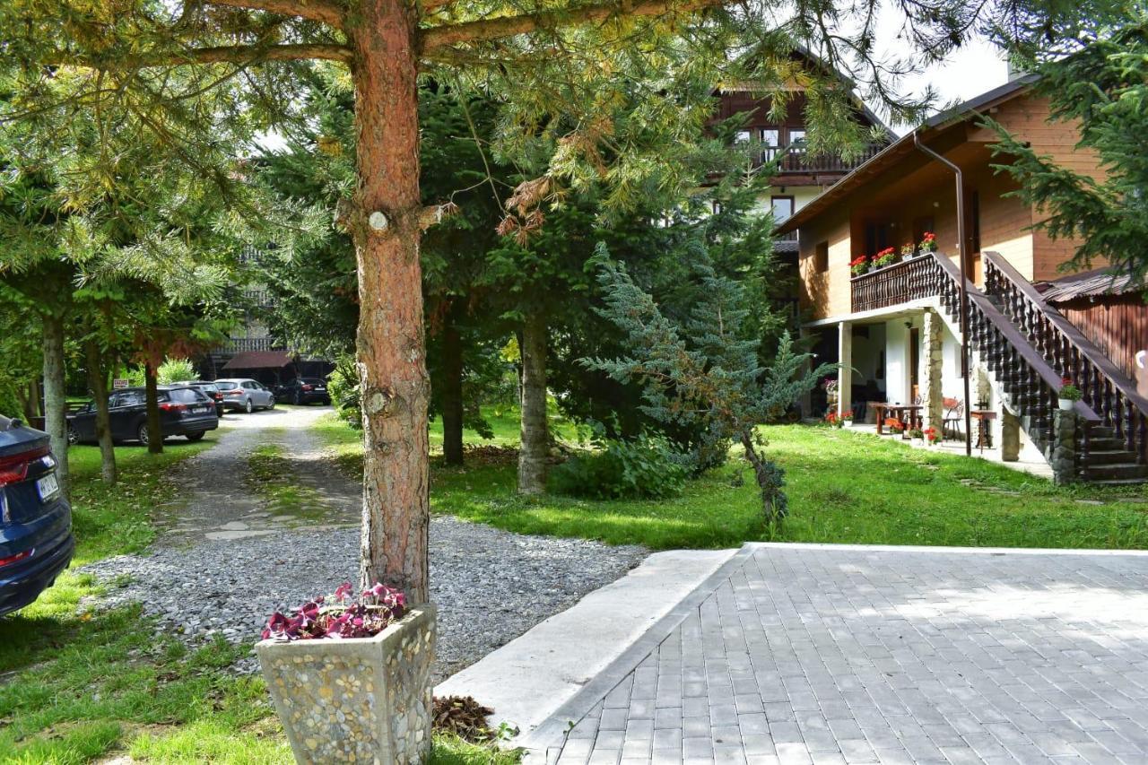 Pensiunea Perla Maramuresului Borşa Exteriör bild