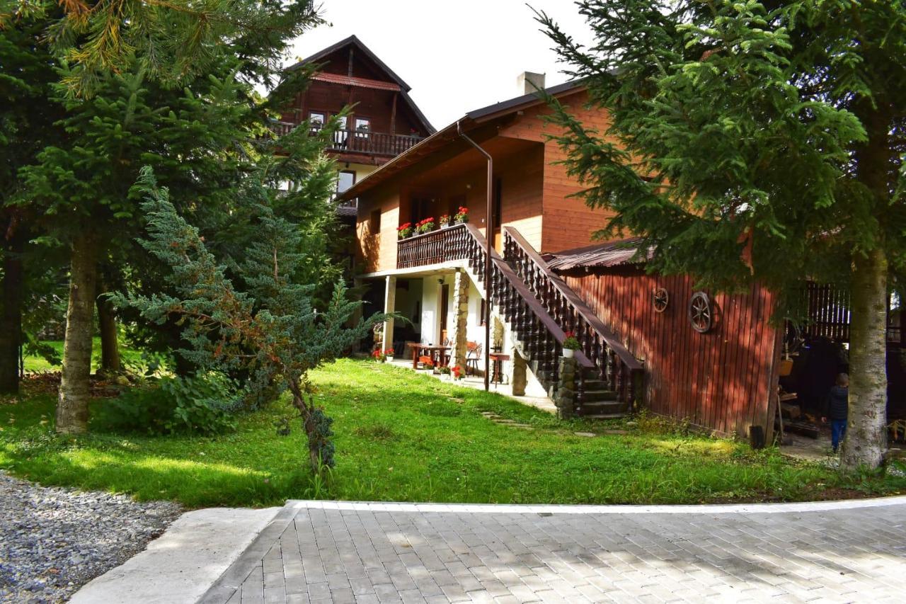 Pensiunea Perla Maramuresului Borşa Exteriör bild