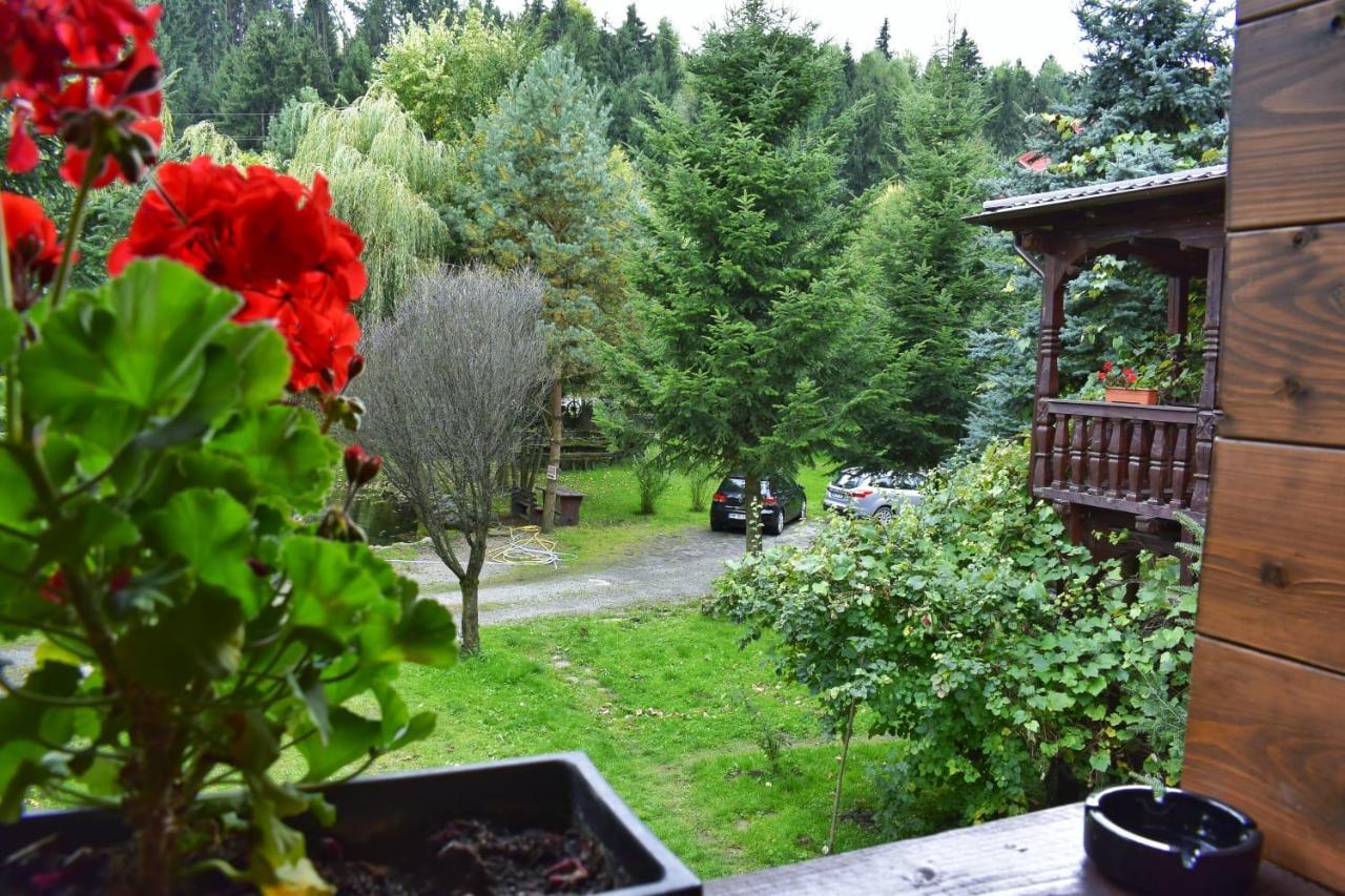 Pensiunea Perla Maramuresului Borşa Exteriör bild