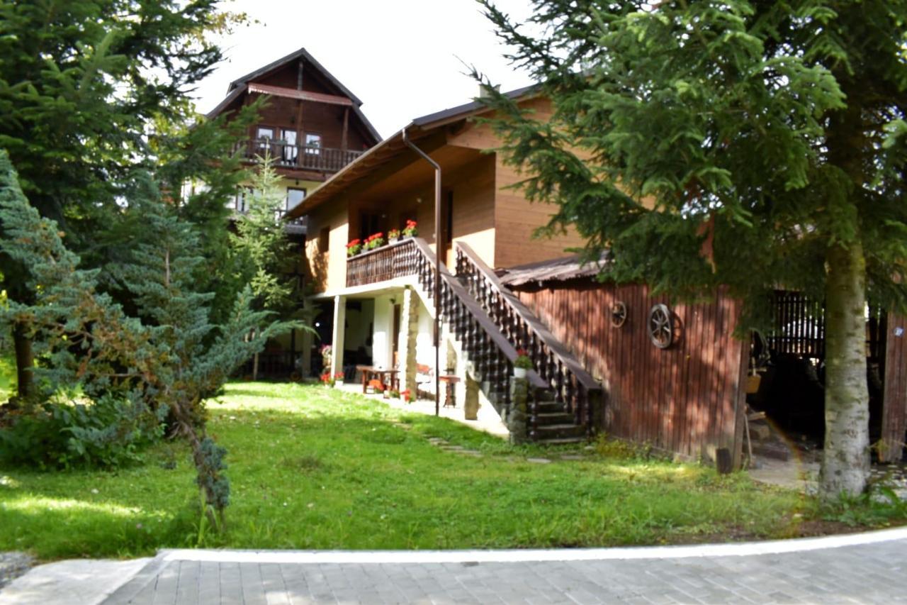 Pensiunea Perla Maramuresului Borşa Exteriör bild