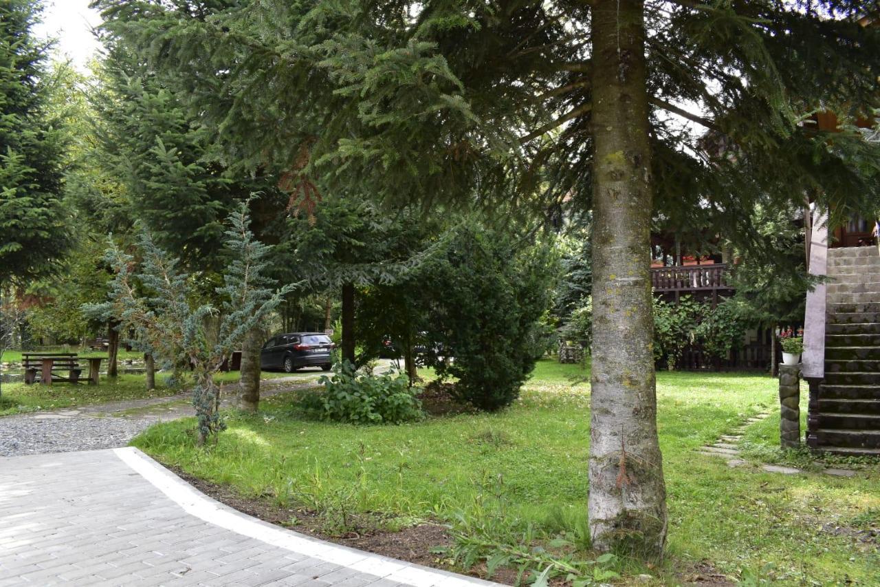 Pensiunea Perla Maramuresului Borşa Exteriör bild