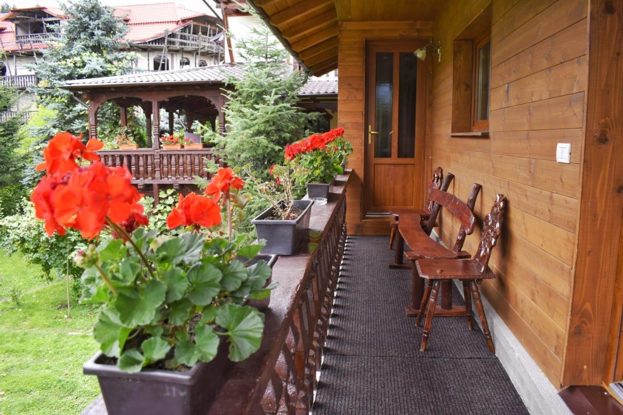 Pensiunea Perla Maramuresului Borşa Exteriör bild