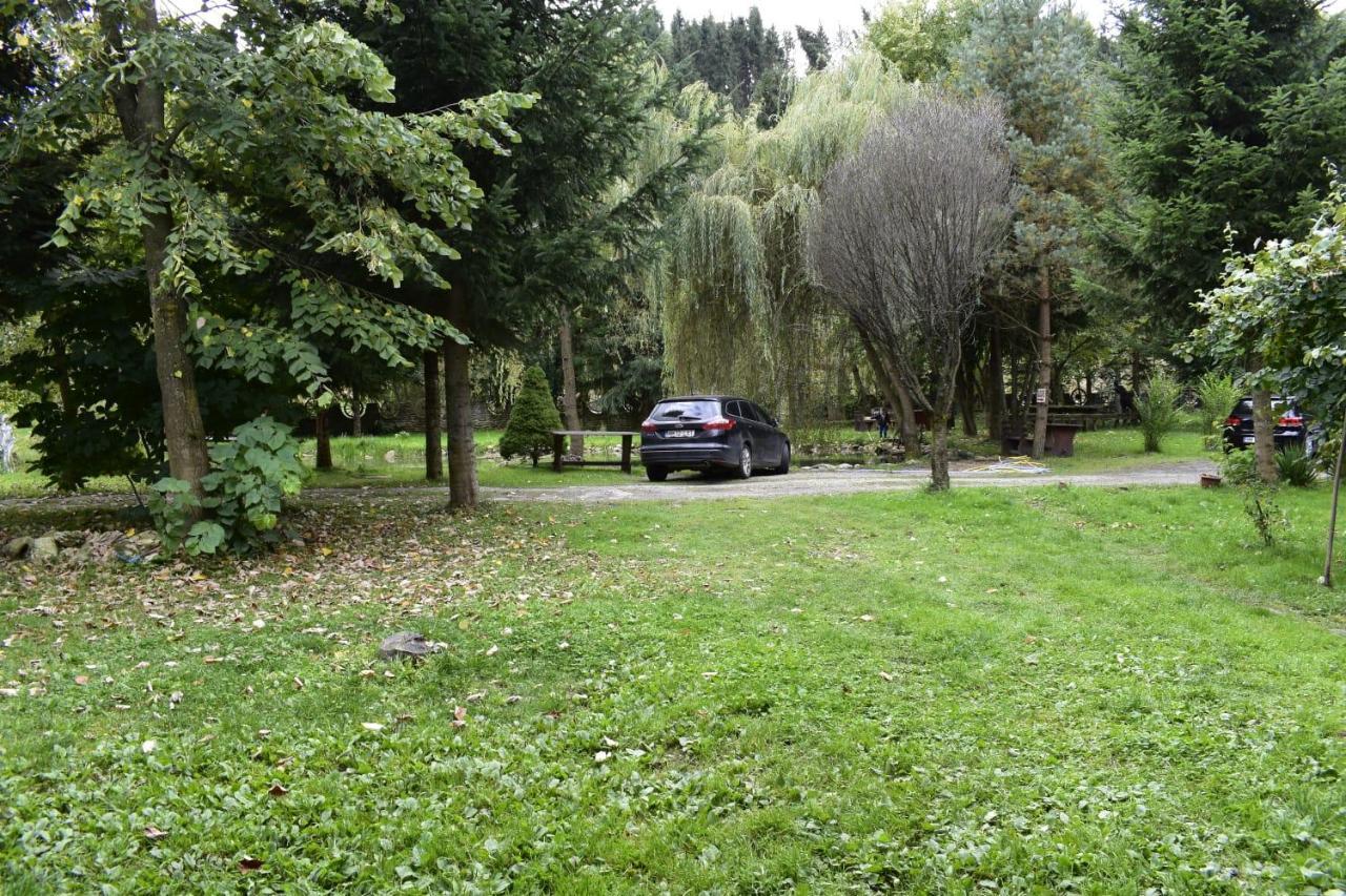 Pensiunea Perla Maramuresului Borşa Exteriör bild