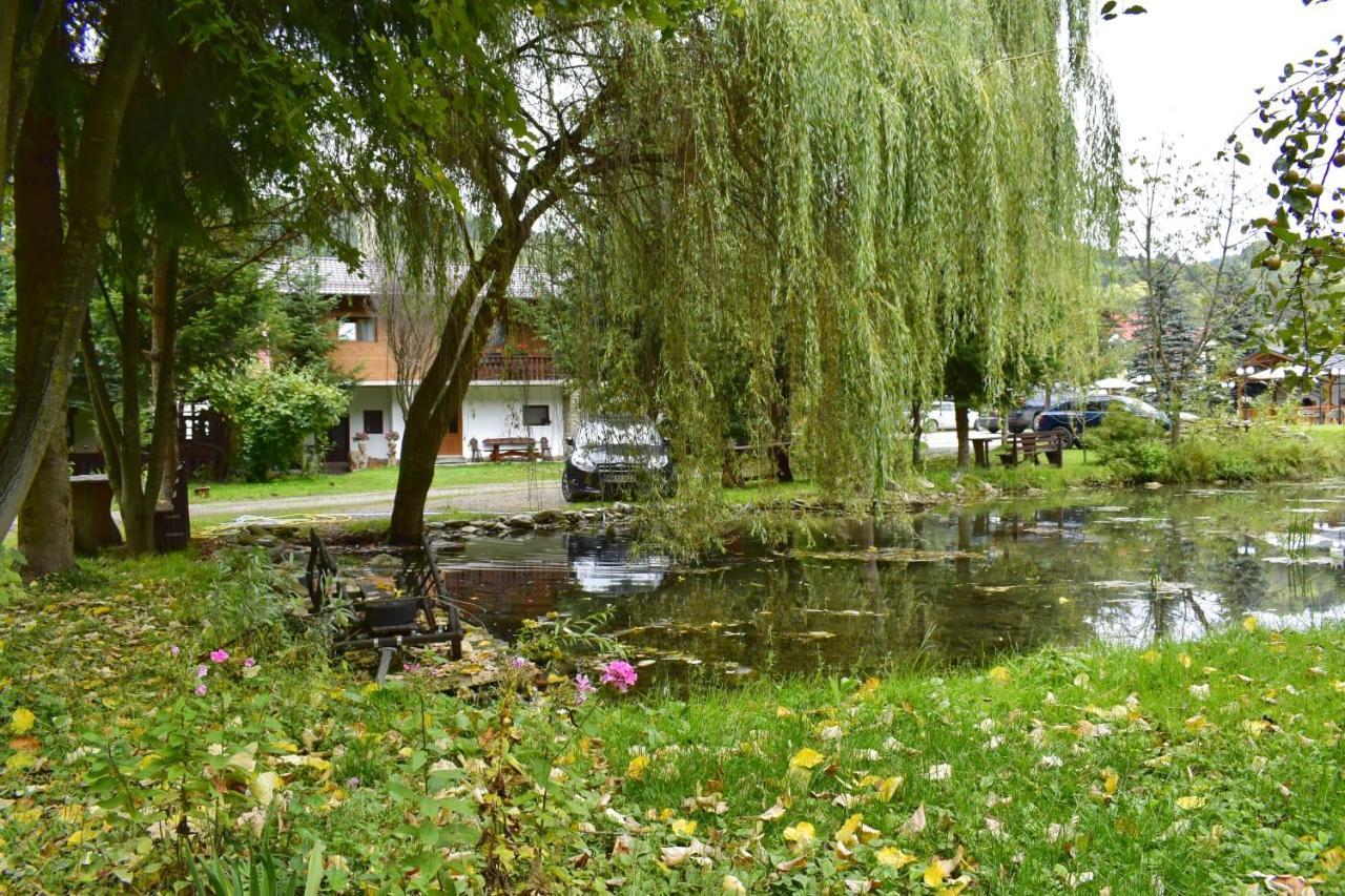 Pensiunea Perla Maramuresului Borşa Exteriör bild