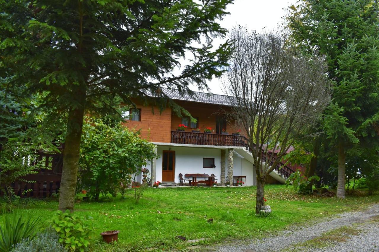 Pensiunea Perla Maramuresului Borşa Exteriör bild