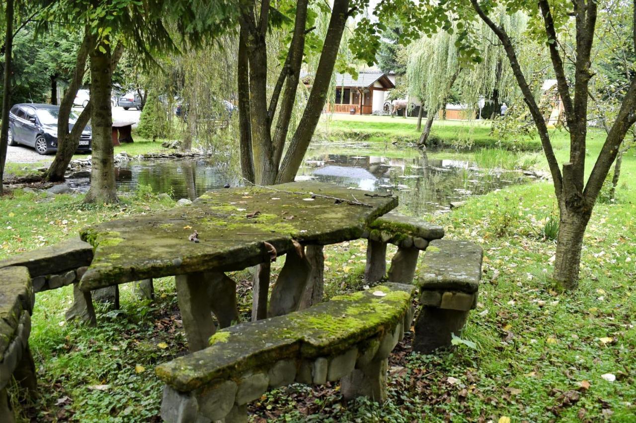 Pensiunea Perla Maramuresului Borşa Exteriör bild